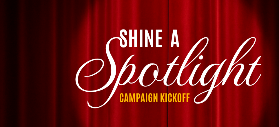 Shine a spotlight - website homepage